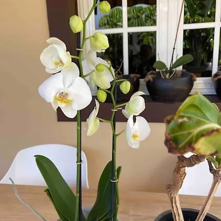 Preciosa Casa Con Jardin Privado Holiday home *